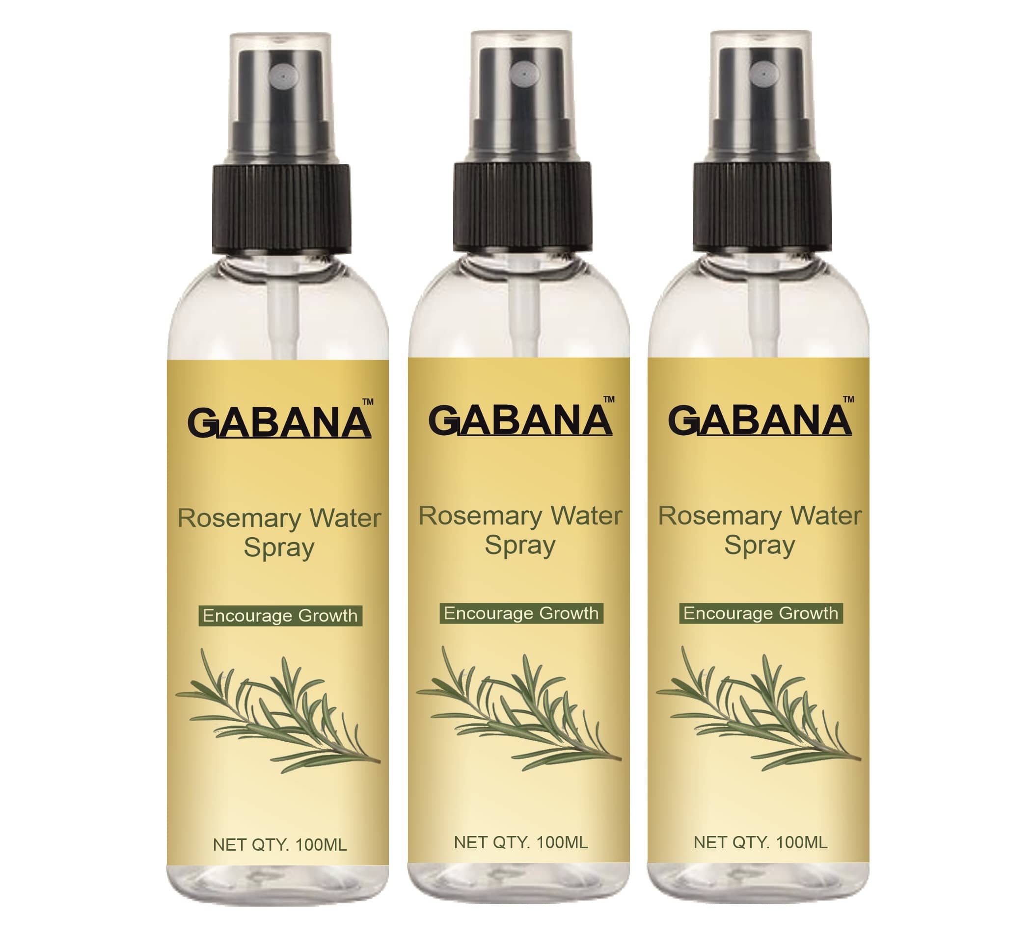 GABANA RoseMary Water Hair Sprays 100 mL Pack of 3