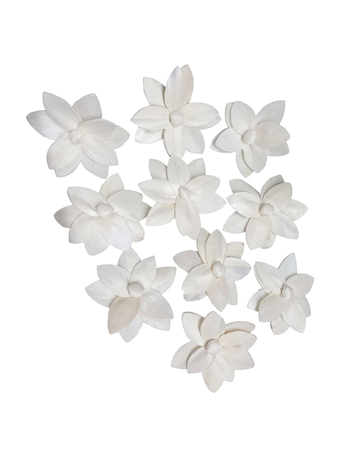     			PRANSUNITA Sola Wood Diffuser Aromatherapy Flowers (No Bark) - Artificial Handmade for Decoration, Flower Bouquets, Centerpieces, DIY Home Decor and Craft Supplies – 10 cm Dia – Pack of 10 pcs