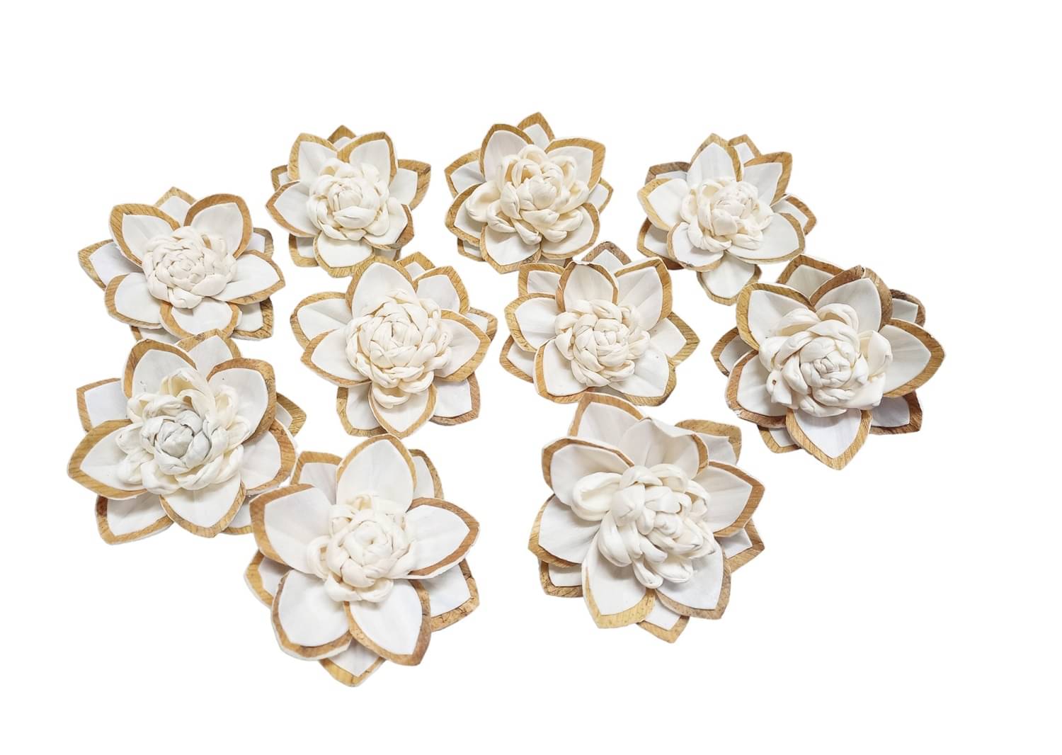     			PRANSUNITA Sola Wood Diffuser Aromatherapy Flowers (No Bark) - Artificial Handmade for Decoration, Flower Bouquets, Centerpieces, DIY Home Decor and Craft Supplies – 8 cm Dia – Pack of 10 pcs