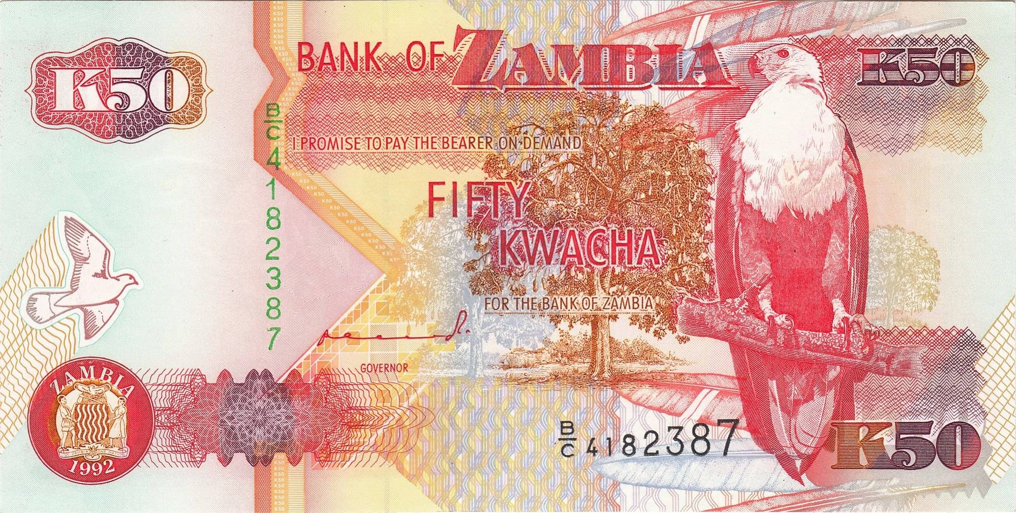     			Zambia 50 Kwacha Top Grade Beautiful Gem UNC Banknote