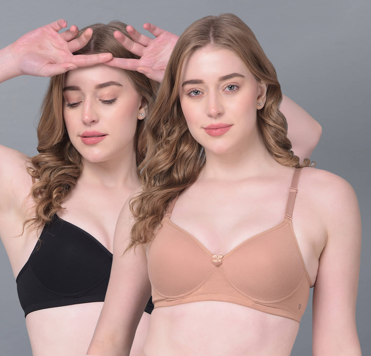     			Dollar Missy Pack of 2 Cotton Women's T-Shirt Bra ( Multicolor ) DTS-2054-BK-RO-PO2