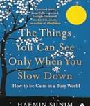 The Things You Can See Only When You Slow Down: How to be Calm in a Busy World |Over 3 million copies sold Paperback  1 January 2000