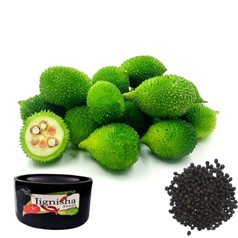 JignishaSeeds Kantola Vegetable ( 20 Seeds )