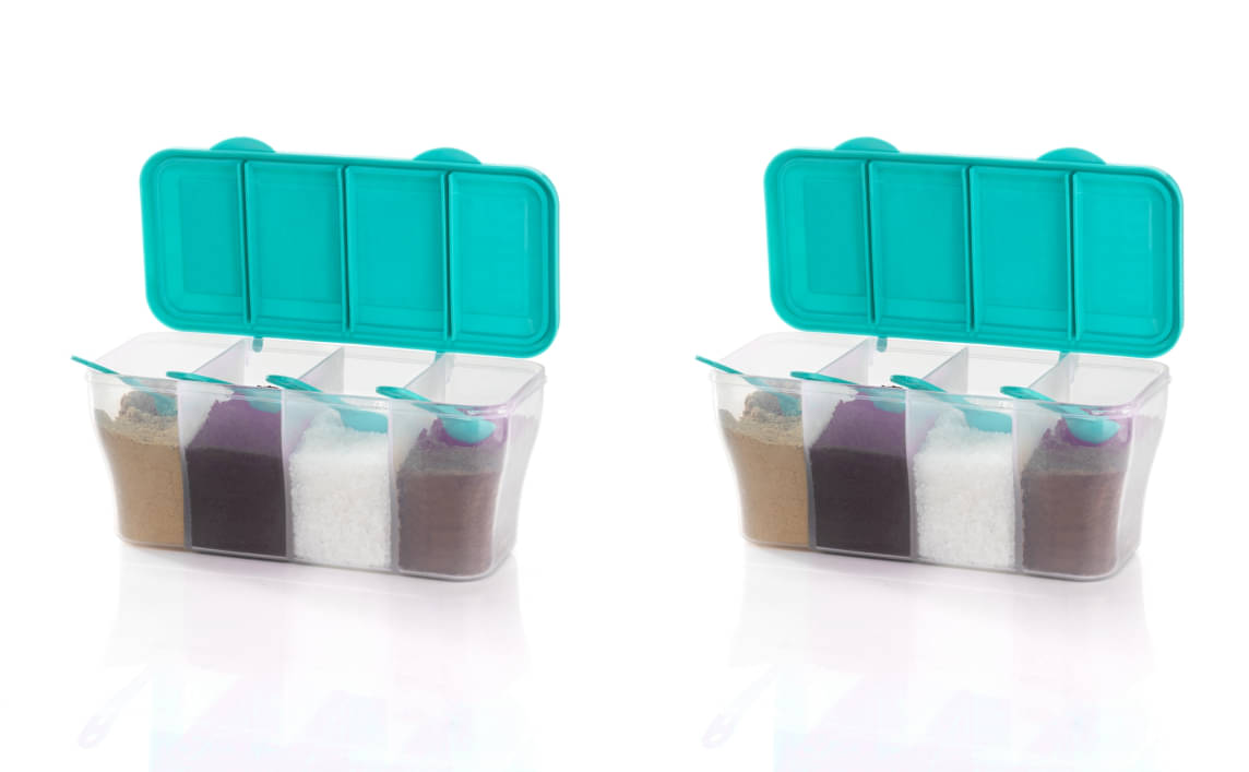     			FIT4CHEF Masala Container Set PET Turquoise Multi-Purpose Container ( Set of 2 )
