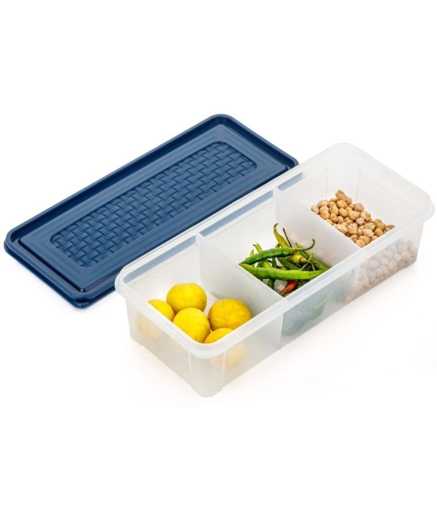     			FIT4CHEF Vegetables/Masala PET Navy Blue Spice Container ( Set of 1 )