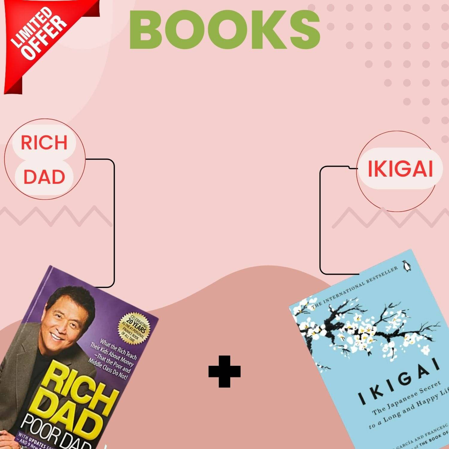     			( Combo of 2 books  Rich dad &  Ikigai