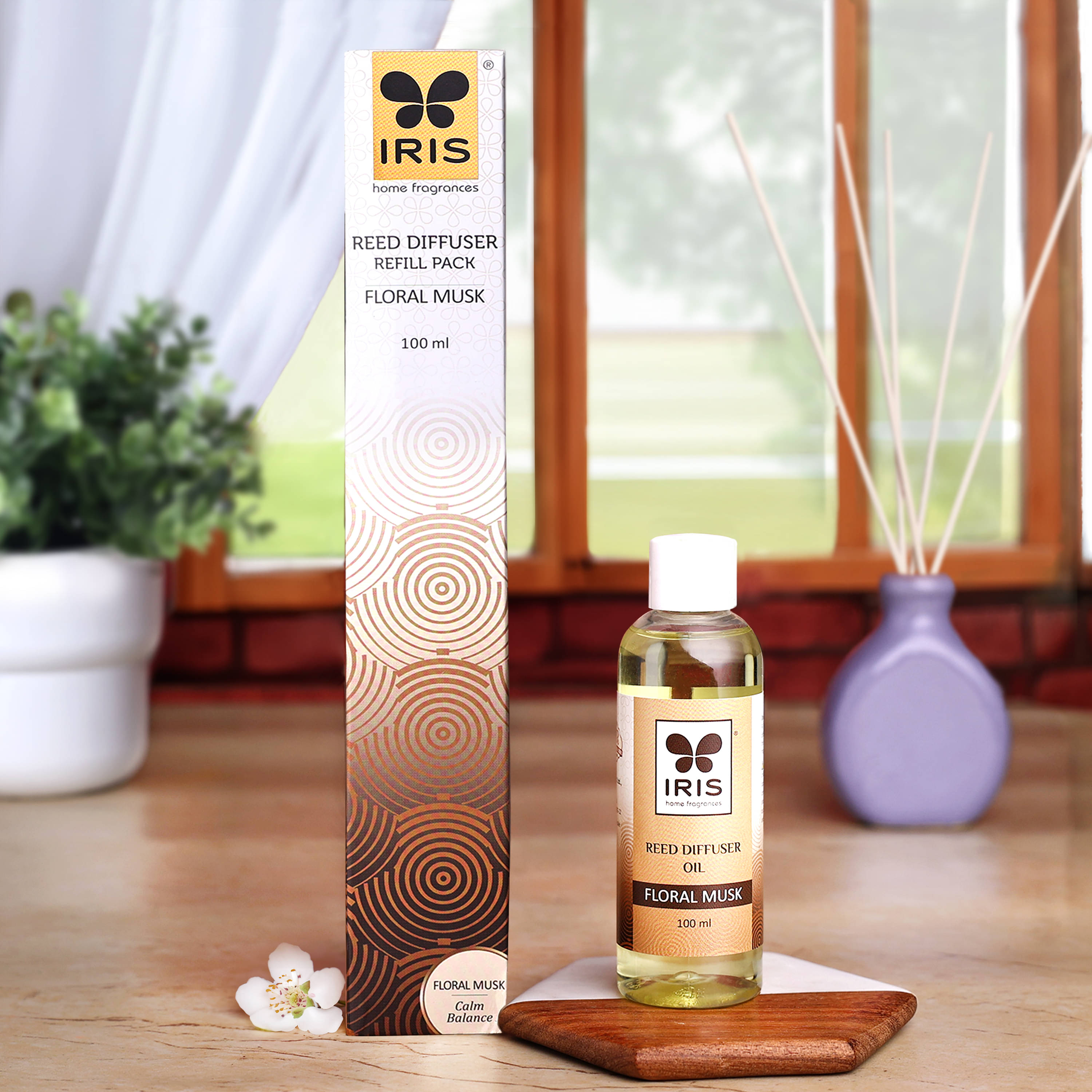 Iris Home Fragrances Aroma Oils - Pack of 1 Iris Home Fragrances Aroma Oils - Pack of 1