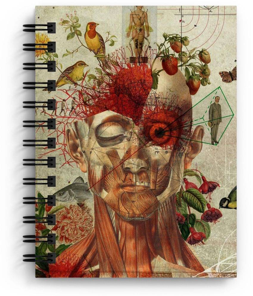     			DI-KRAFT Handcrafted Cardbord Diary A5 Diary Unruled 160 Pages (Multicolor)