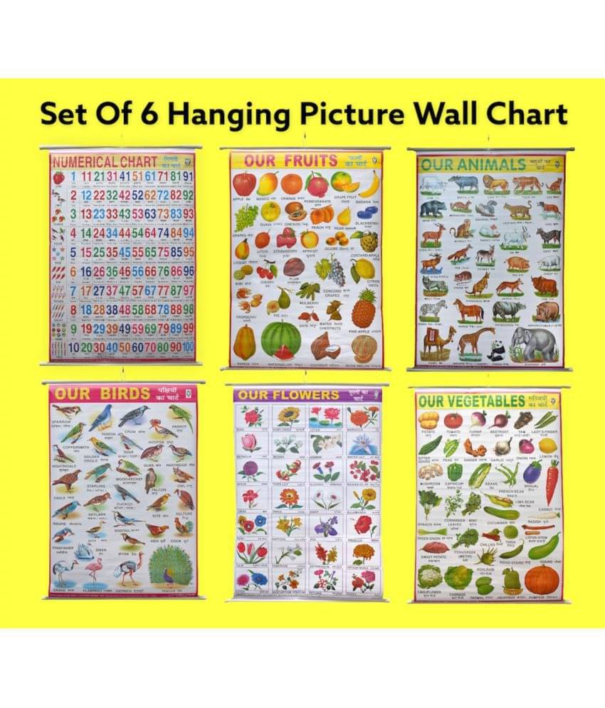 Early Learning Educational Laminated Charts For Kids | | 100X75 cm | Set of 6 | Non-Tearable and Waterproof | Perfect for Homeschooling, Kindergarten and Nursery| Numbers, Birds, Animals Early Learning Educational Laminated Charts For Kids | | 100X75 cm | Set of 6 | Non-Tearable and Waterproof | Perfect for Homeschooling, Kindergarten and Nursery| Numbers, Birds, Animals