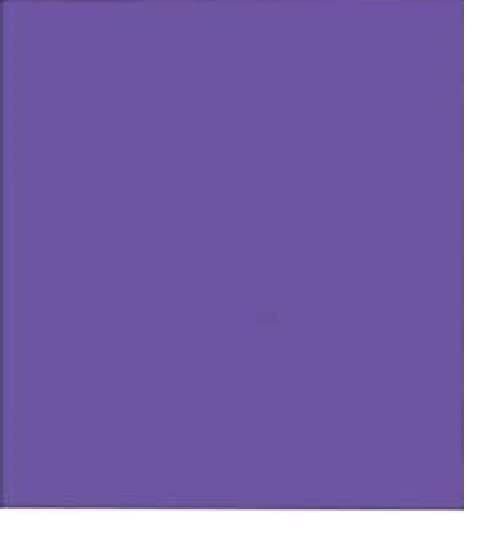 Eclet 40 Pcs PURPLE Color Sheets (180-240 GSM) Copy Printing Papers Double Sided Colored Origami Folding School, Office Stationery (Purple) Eclet 40 Pcs PURPLE Color Sheets (180-240 GSM) Copy Printing Papers Double Sided Colored Origami Folding School, Office Stationery (Purple)