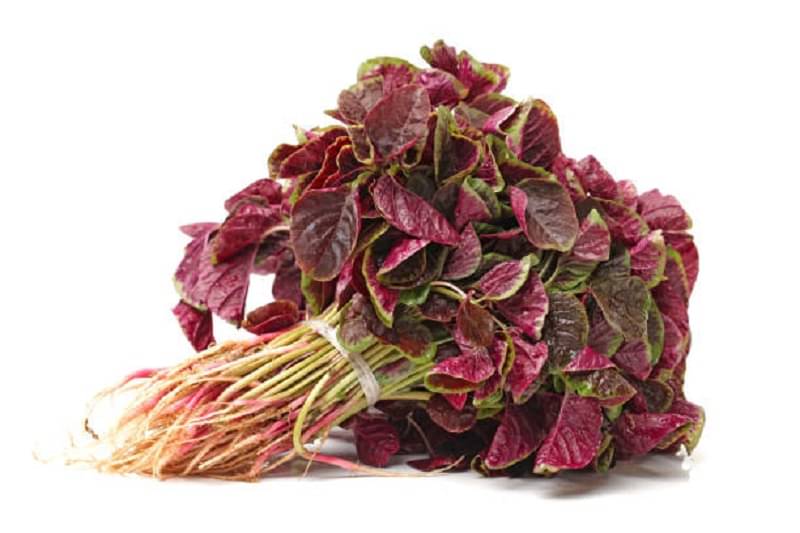 Jignisha Seeds Amaranth Vegetable ( 500 Seeds ) Jignisha Seeds Amaranth Vegetable ( 500 Seeds )