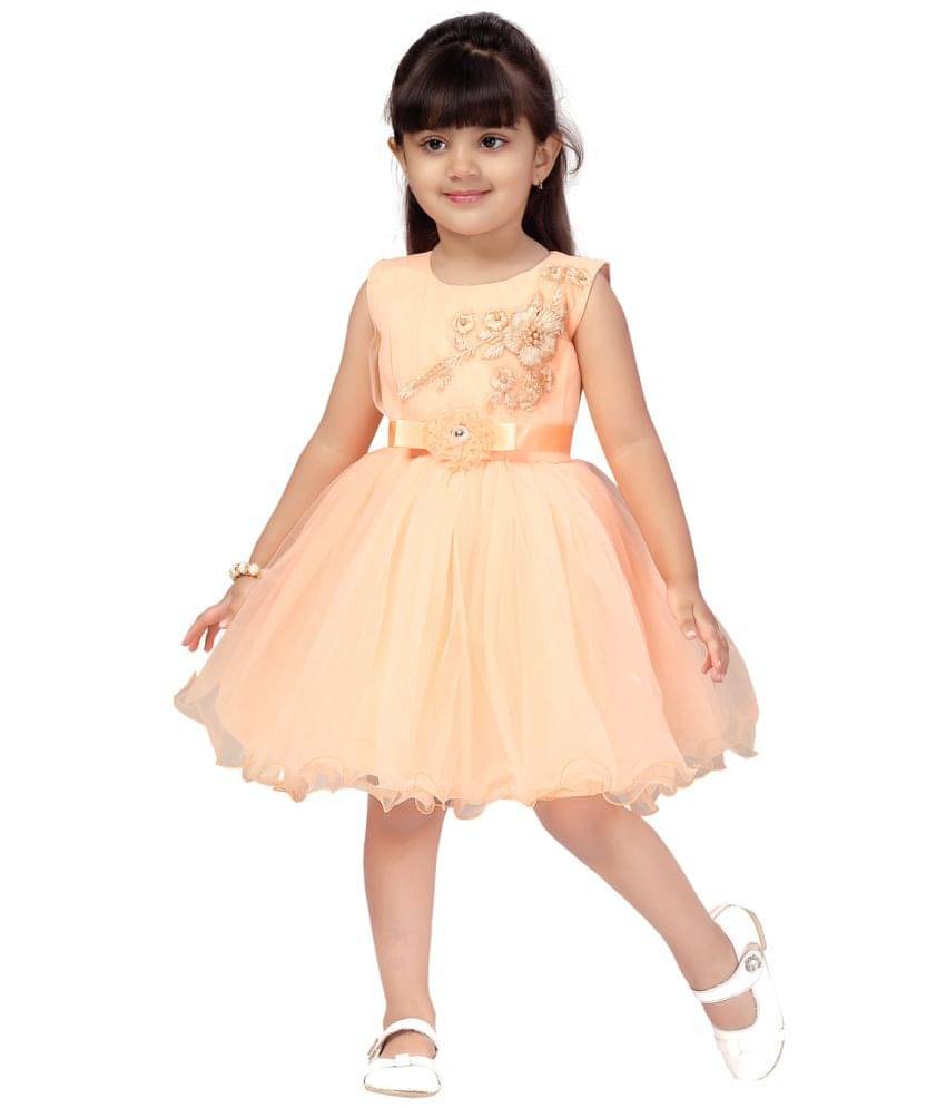Aarika Net Frock For Girls ( Pack of 1 , Peach ) Aarika Net Frock For Girls ( Pack of 1 , Peach )