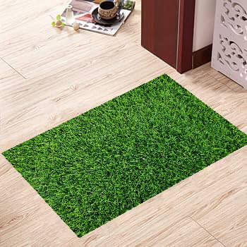 Revexo - Anti-skid Plastic Door Mat ( 40 X 60 cm ) Single - Green Revexo - Anti-skid Plastic Door Mat ( 40 X 60 cm ) Single - Green