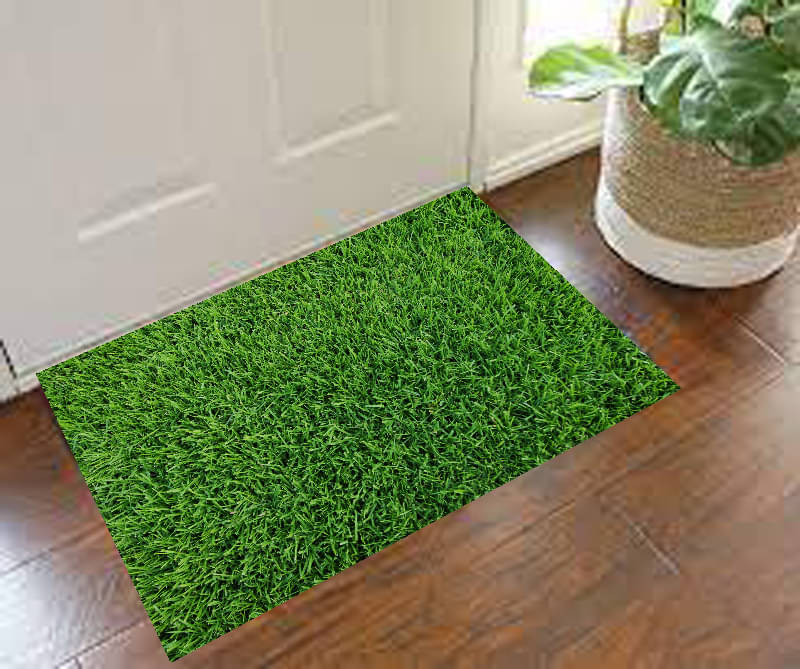 Revexo - Anti-skid Plastic Door Mat ( 40 X 60 cm ) Single - Green Revexo - Anti-skid Plastic Door Mat ( 40 X 60 cm ) Single - Green
