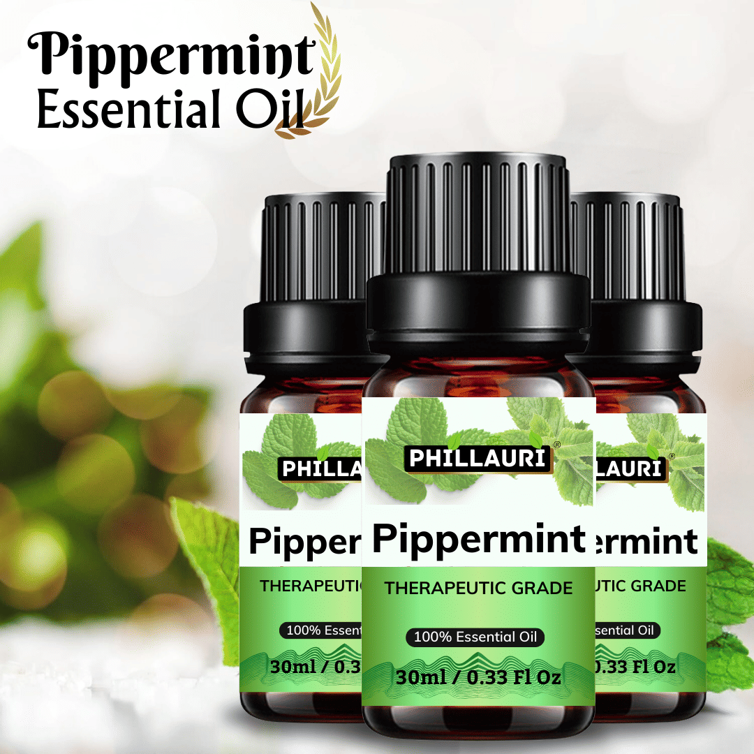 Phillauri Peppermint Others Essential Oil Fruity With Dropper 90 mL ( Pack of 3 )