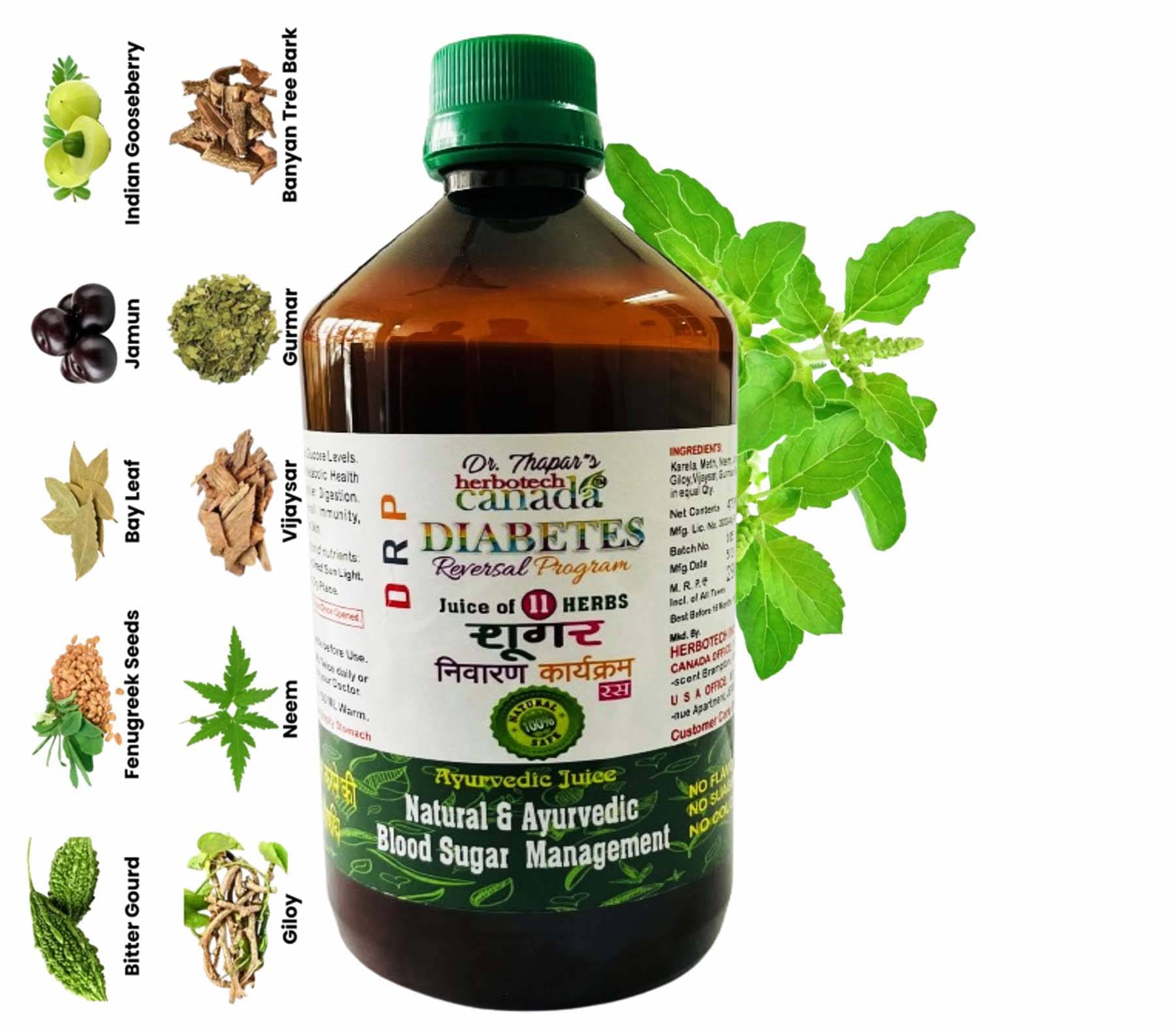     			HERBOTECH CANADA DIABETES REVERSAL PROGRAM I CONTROL WITH 11 HERBS JUICE I DIABCARE SAFE & EFFECTIVE I NEEM, KARELA JAMUN JUICE 450 ML