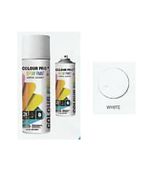 Colour Pro+ Spray Paint 300 - 700 ML