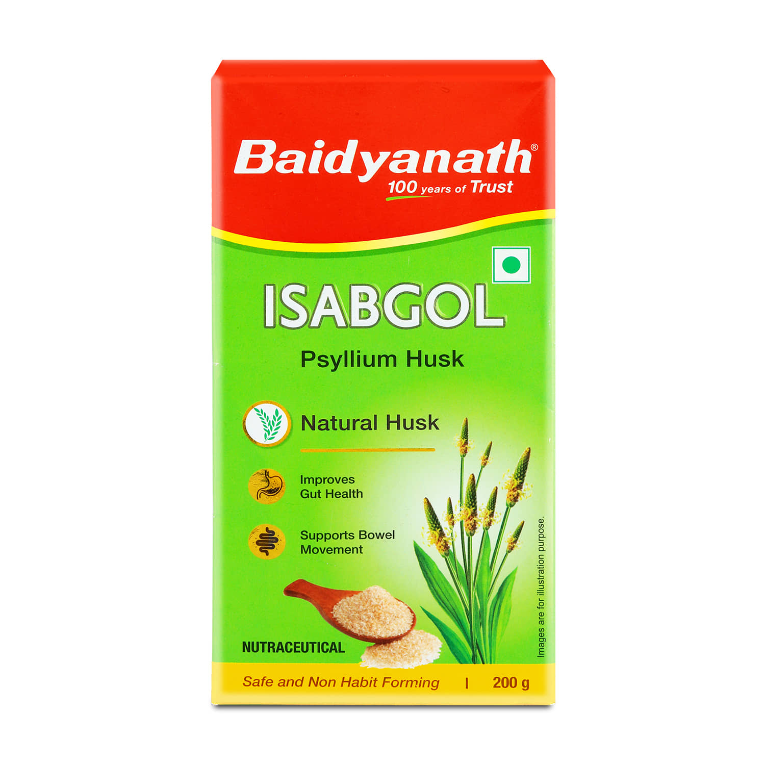 Baidyanath Powder For Stomach Ache ( Pack of 1 )
