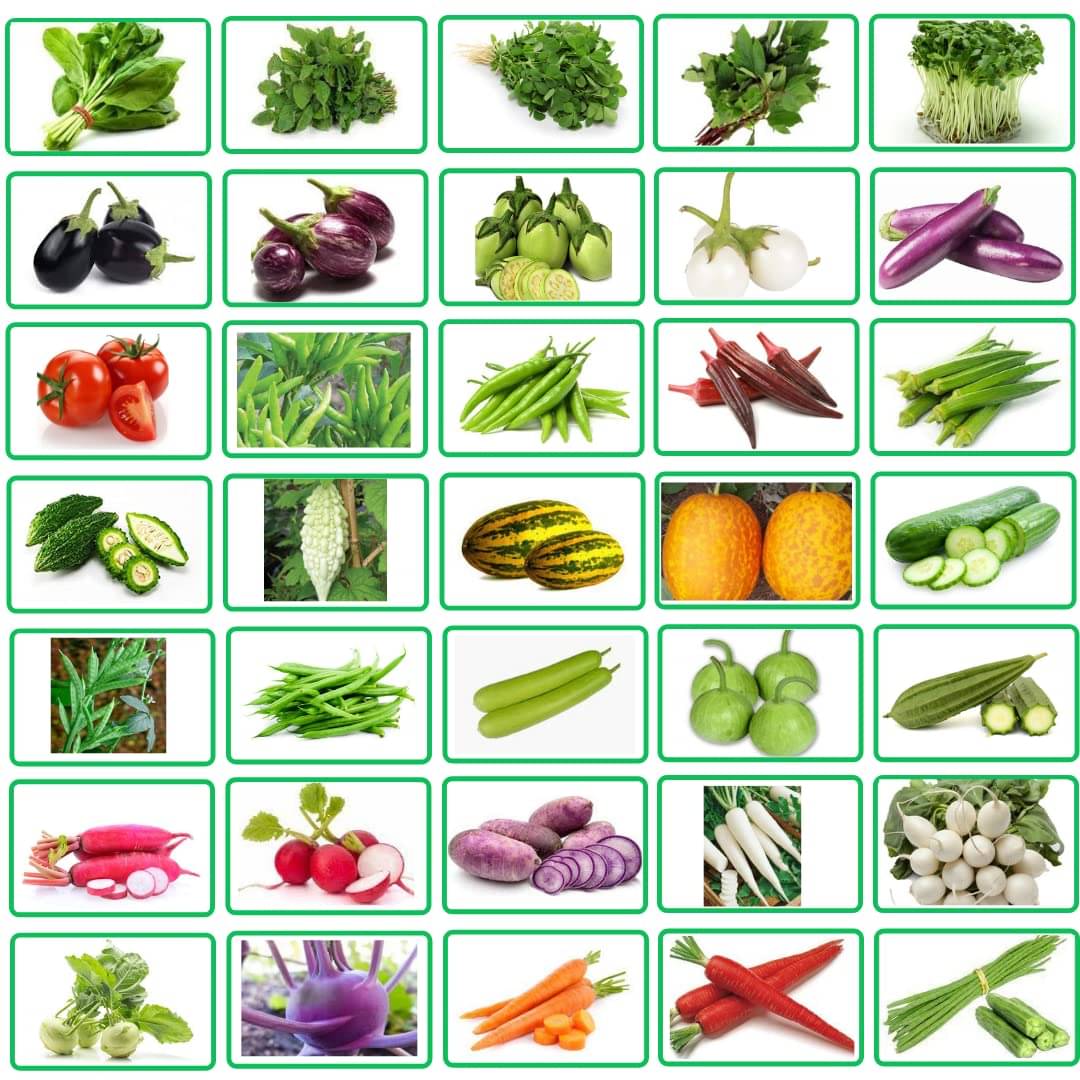 35 different type of vegetable seeds for home garden 2000 seeds 35 different type of vegetable seeds for home garden 2000 seeds