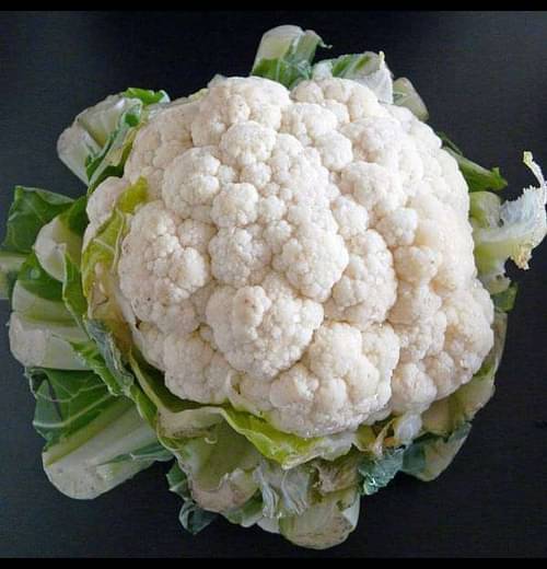     			Infintegreen Cauliflower Vegetable ( 100 Seeds )
