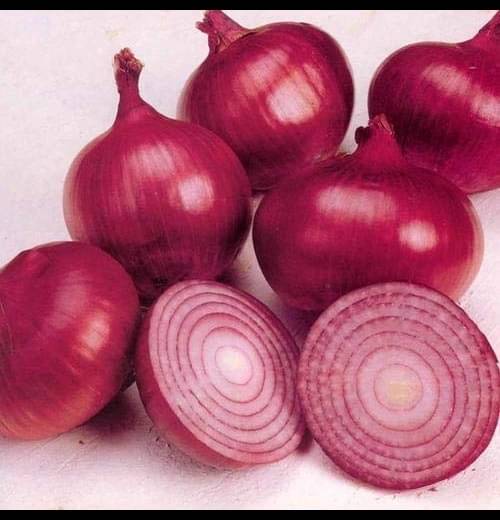     			Infintegreen Onion Vegetable ( 100 Seeds )