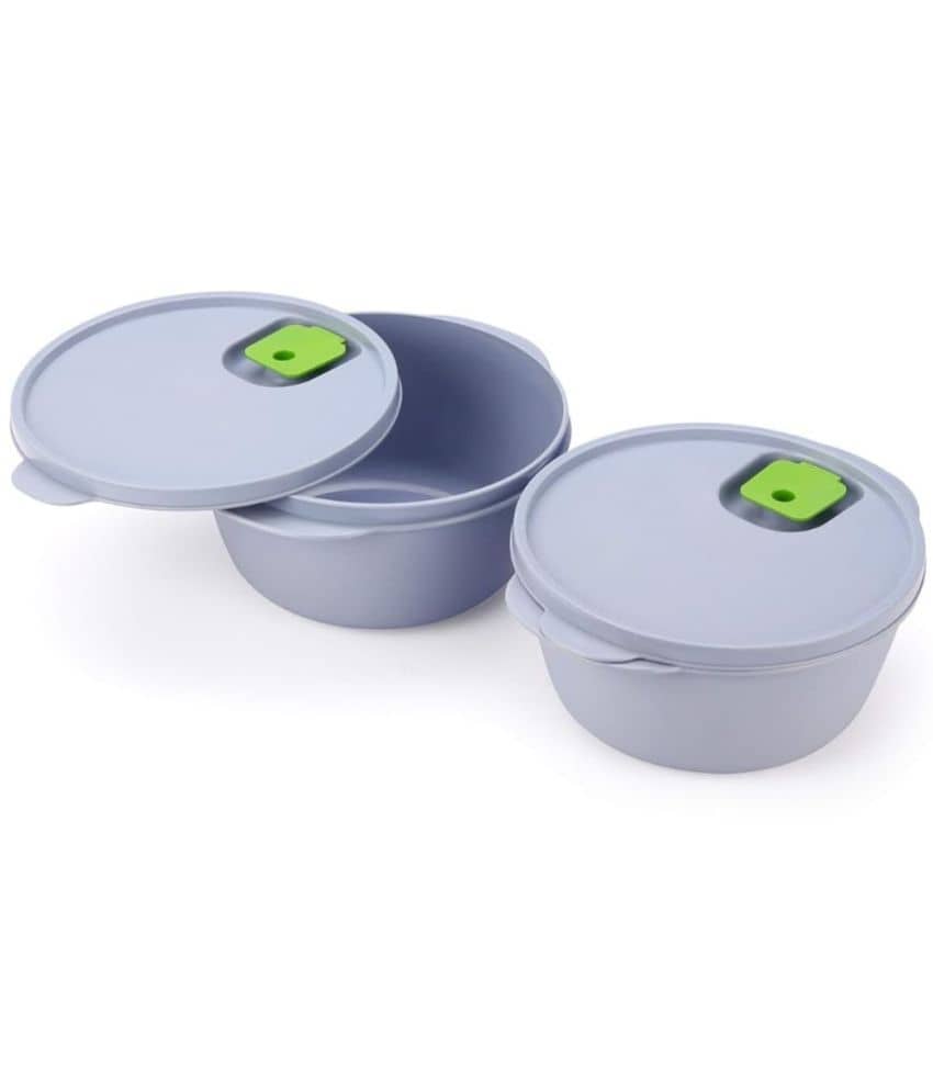 Mumma's Life Plastic Grey Food Container ( Set of 2 )