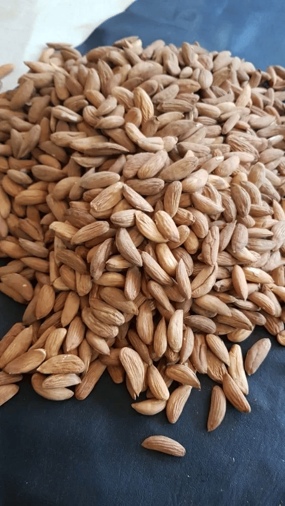     			Pyramid Traders Gurbandi Almond 1 kg