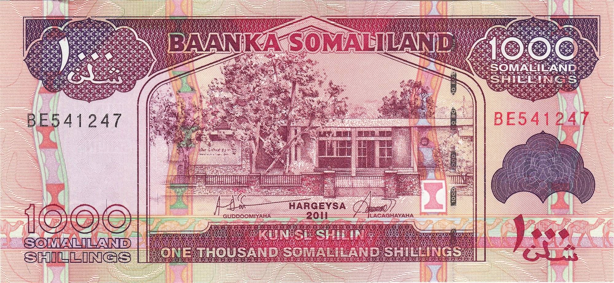     			Somaliland 1000 Shillings Top Grade Beautiful Gem UNC Banknote