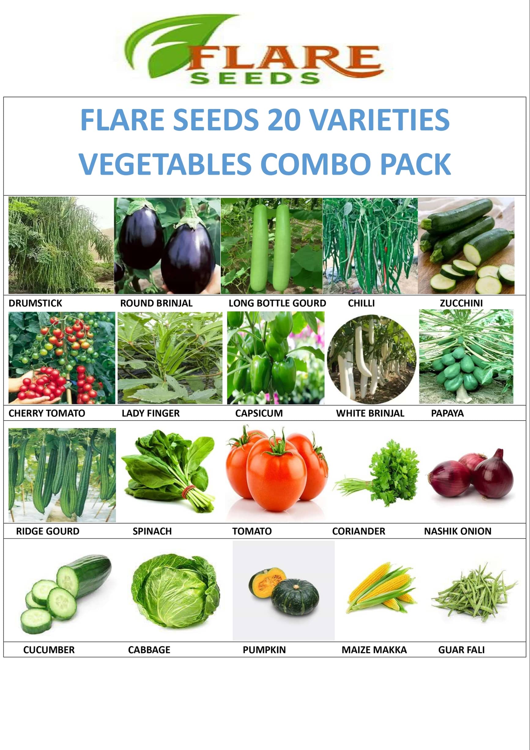 FLARE SEEDS Mixed Vegetable 20 Varieties ( 20 Seeds )