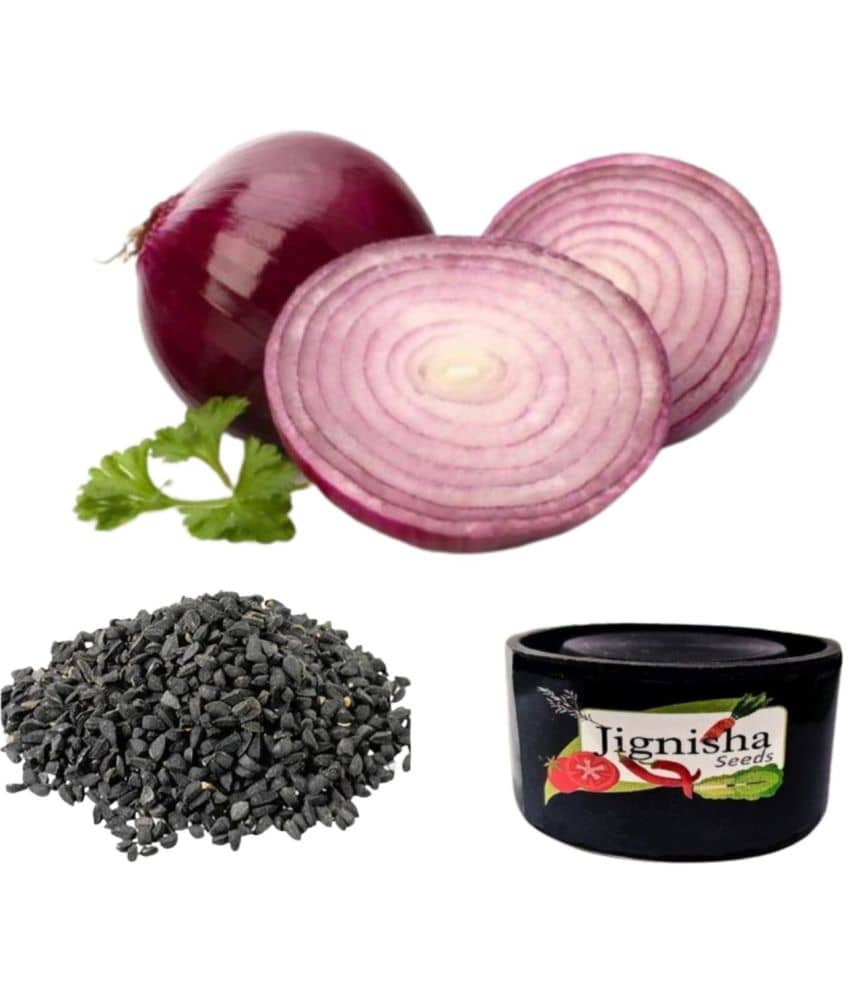 Jignisha Seeds Onion Vegetable ( 500 Seeds )