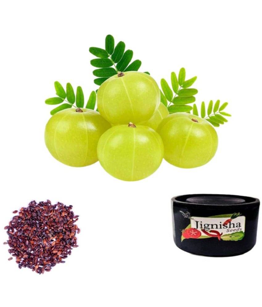     			Jignisha Seeds Amla Fruit ( 30 Seeds )