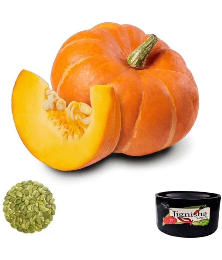     			Jignisha Seeds Pumpkin Vegetable ( 10 Seeds )