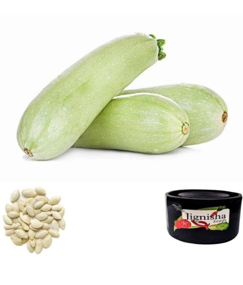    			Exotic Light Green Long Zucchini Squash Cucurbita Vegetable Seeds Pack Of 10 | Organic | for Planting in Home Kitchen Terrace Balcony Gardening
