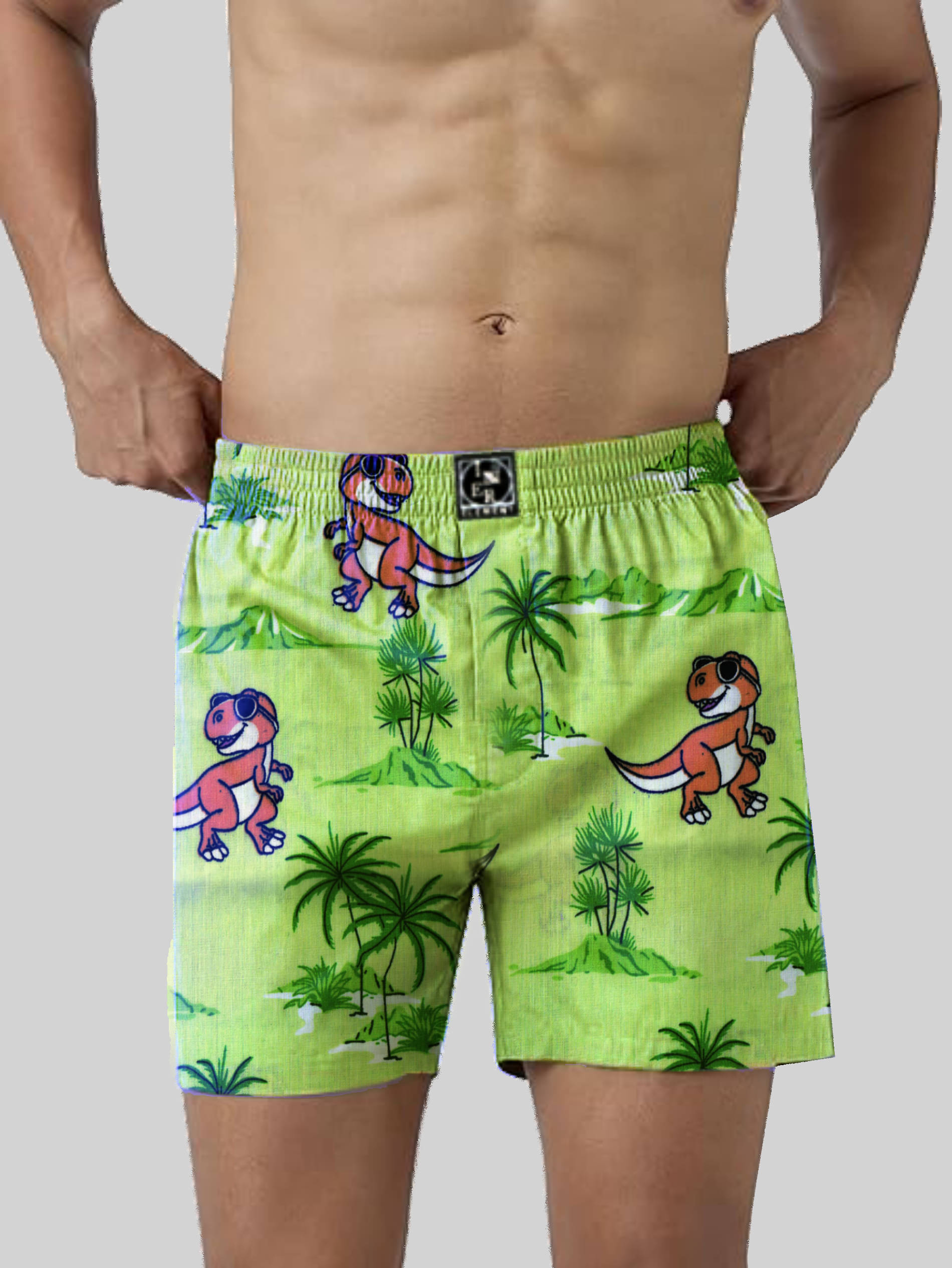     			Inner Element Pack of 1 Cotton Boxers For Men's ( Light Green )