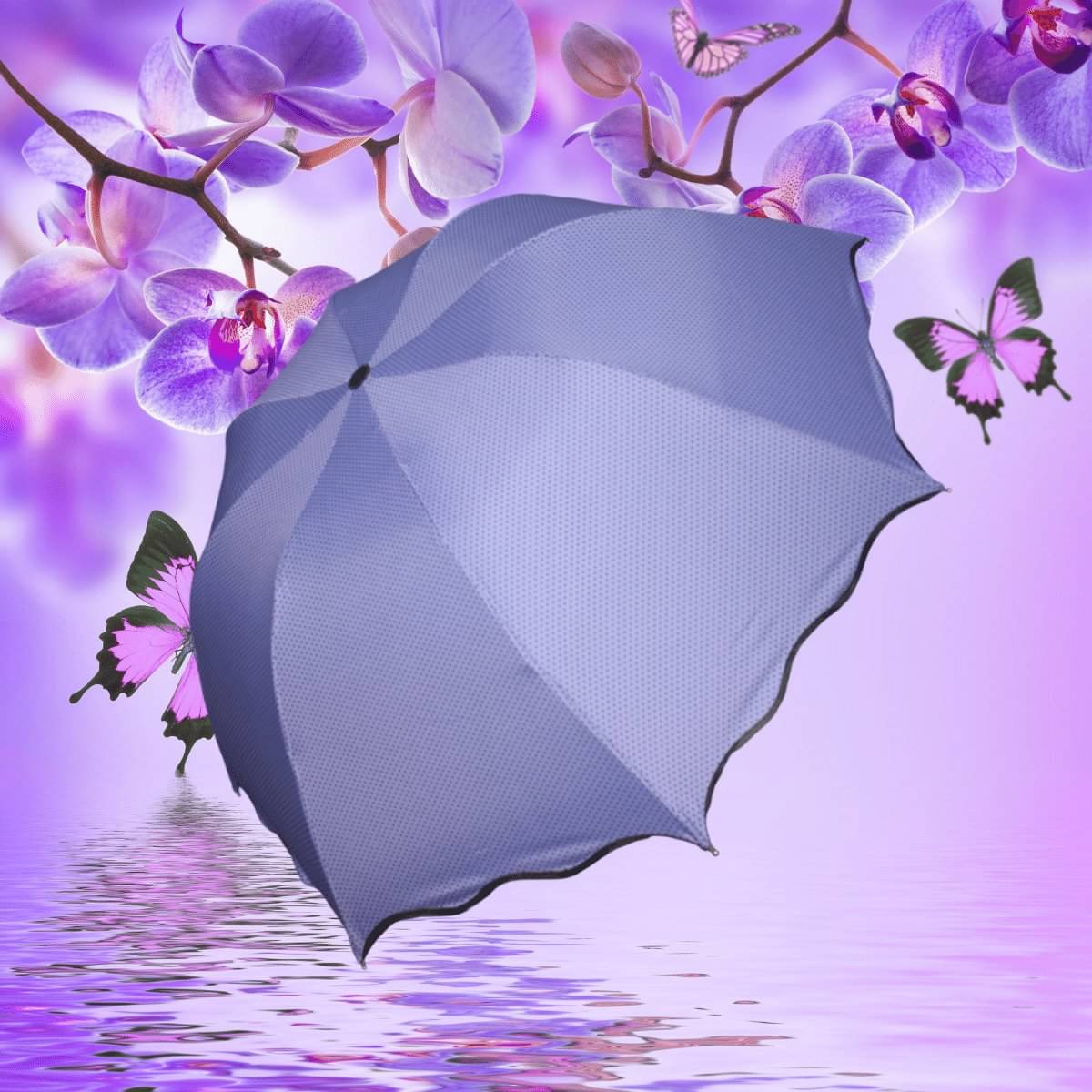 KEKEMI Purple Umbrella KEKEMI Purple Umbrella