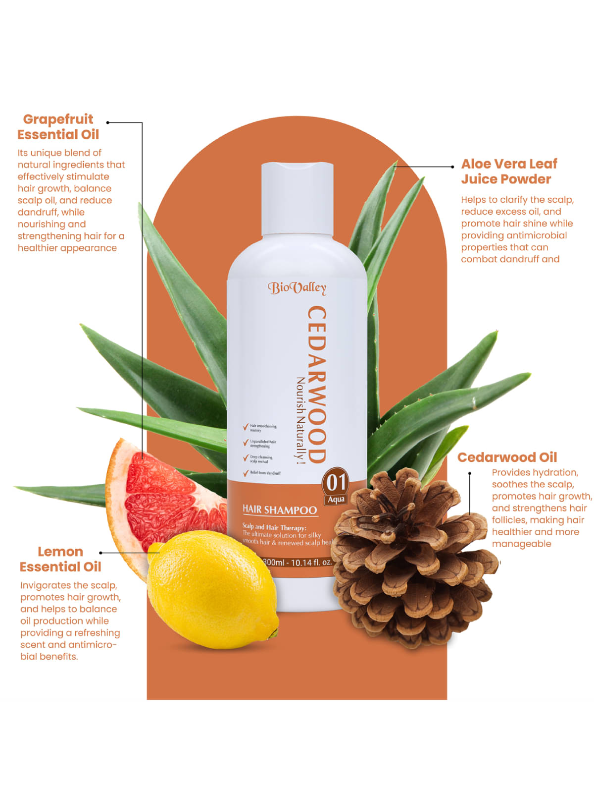     			Bio Valley Hair Volumizing Shampoo 300 ml ( Pack of 1 )