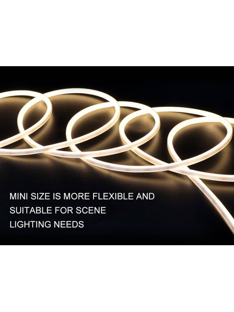 Brilights Gold 5M Neon Light ( Pack of 1 )     			Brilights Gold 5M Neon Light ( Pack of 1 )