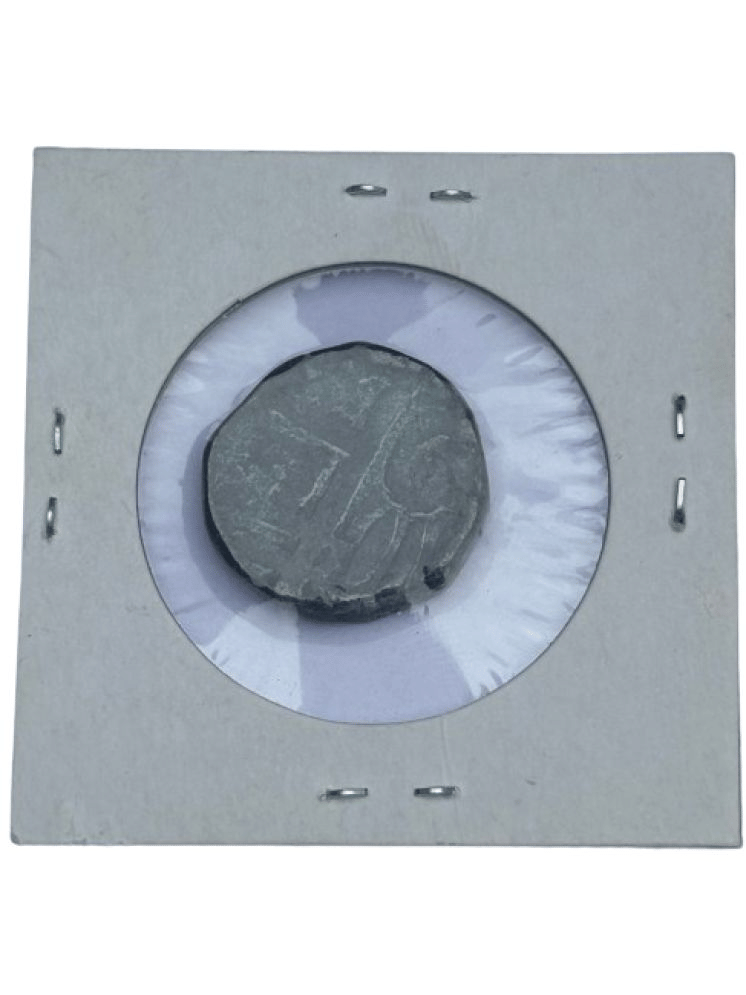     			EXTREMELY RARE COIN IN GOOD CONDITION