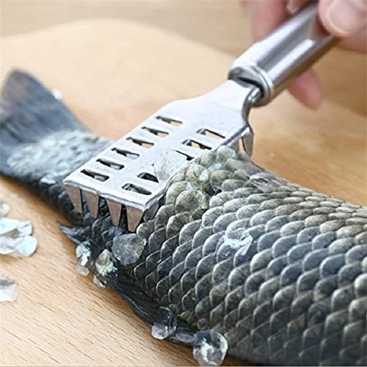     			analog kichenware Silver Stainless Steel Fish Scaler 1 Pic ( Set of 1 )