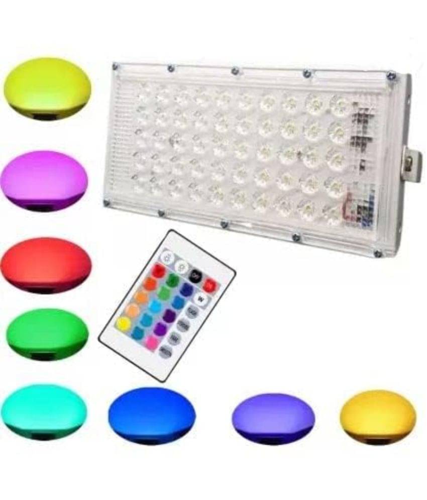     			DAYBETTER Plastic Pendant Multi - Pack of 1