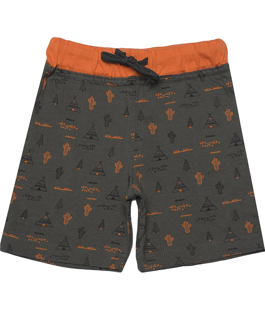 Dollar Champion Kidswear Pack of 1 Cotton Shorts For Boys ( Multicolor ) - Shorts | Buy online on ZillyBuy