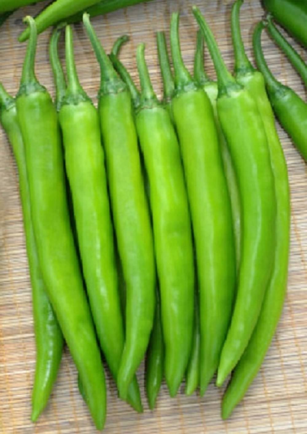 Jignisha Seeds Chilli Pepper Vegetable ( 50 Seeds ) Jignisha Seeds Chilli Pepper Vegetable ( 50 Seeds )