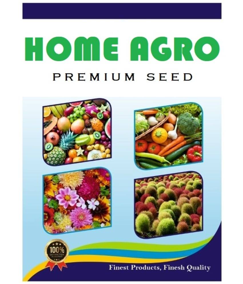     			homeagro Black Grape Fruit ( 20 Seeds )