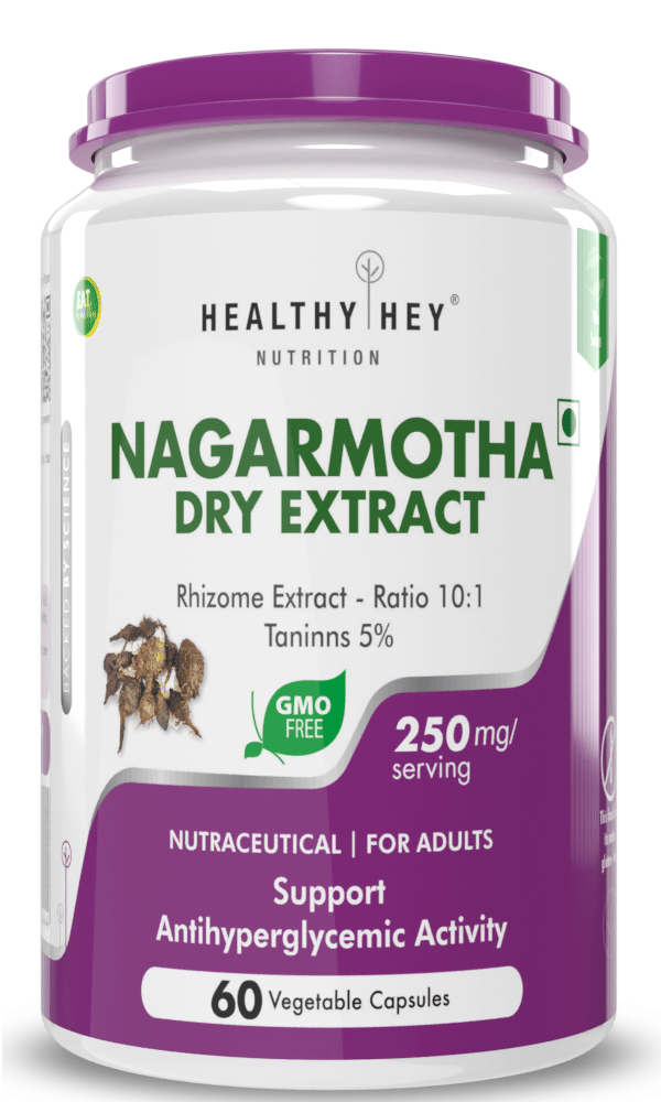     			HEALTHYHEY NUTRITION Special Supplement Capsule 250 mg ( Pack of 1 )