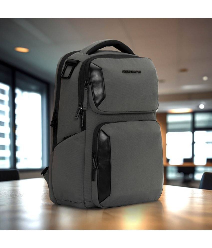     			Red Tape 28 Ltrs Grey Laptop Bags