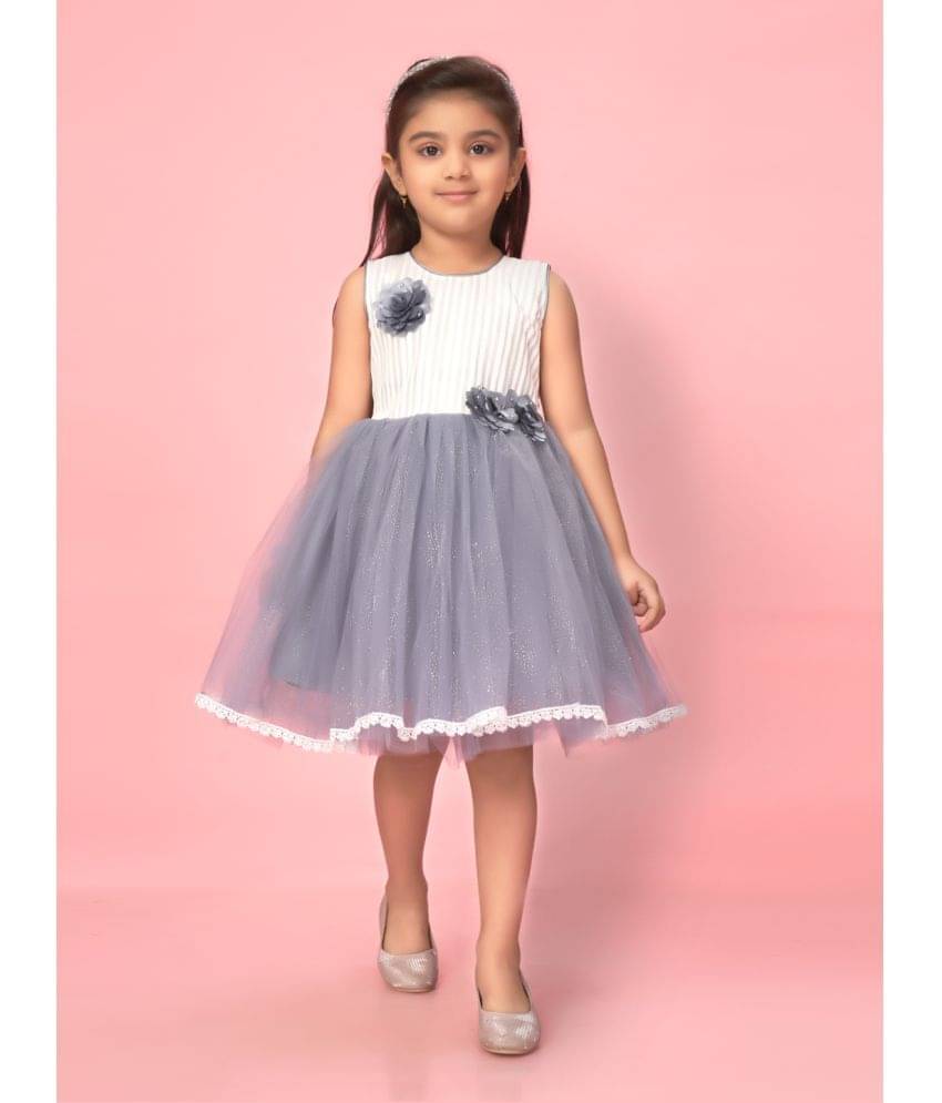 Aarika Net Fit And Flare Dress For Girls ( Pack of 1 , Grey ) Aarika Net Fit And Flare Dress For Girls ( Pack of 1 , Grey )