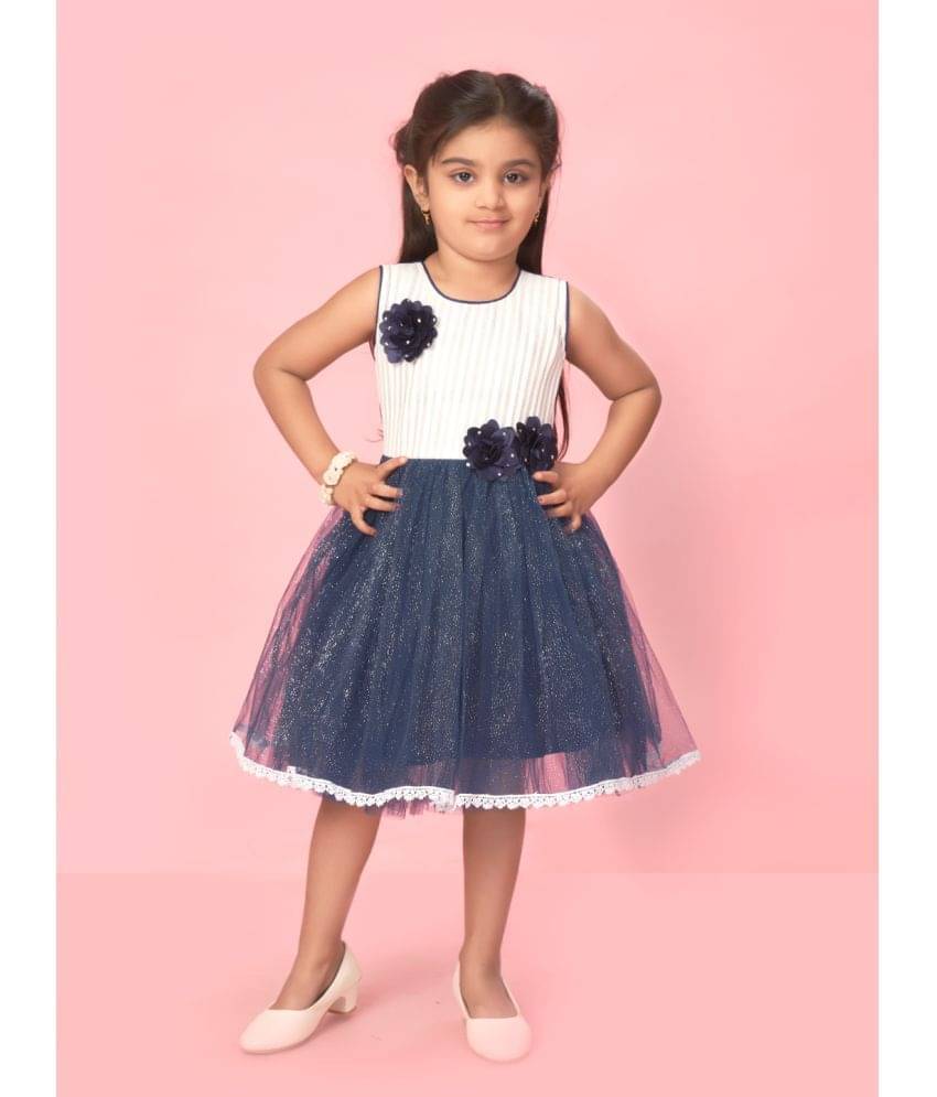 Aarika Net Fit And Flare Dress For Girls ( Pack of 1 , Navy Blue ) Aarika Net Fit And Flare Dress For Girls ( Pack of 1 , Navy Blue )