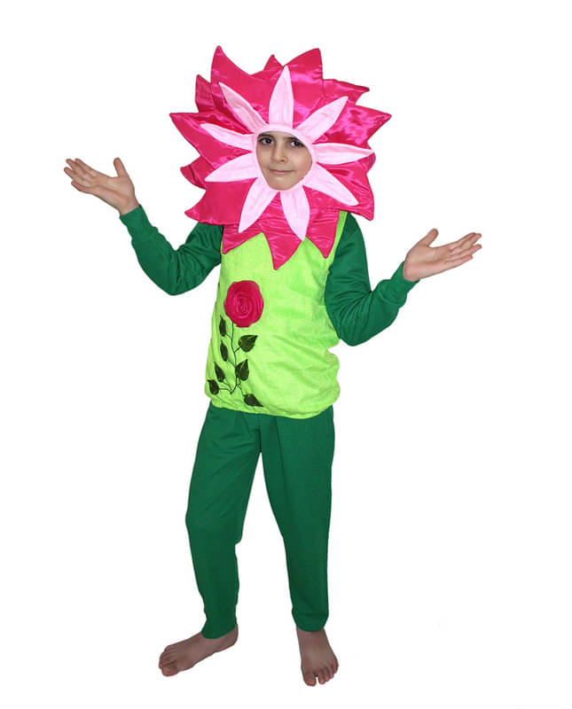 Kaku Fancy Dresses Flower Costume,Rose Costume,Nature Costume -Magenta, 16-17 Years, For Boys & Girls Kaku Fancy Dresses Flower Costume,Rose Costume,Nature Costume -Magenta, 16-17 Years, For Boys & Girls