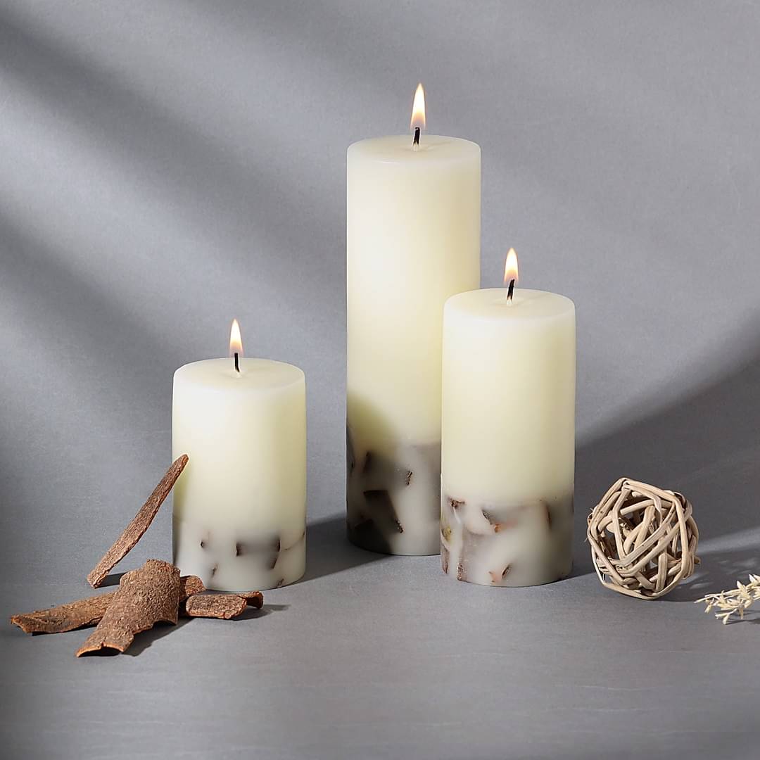     			Parkash Candles Multicolour Cinnamon Pillar Candle 15 cm ( Pack of 3 )