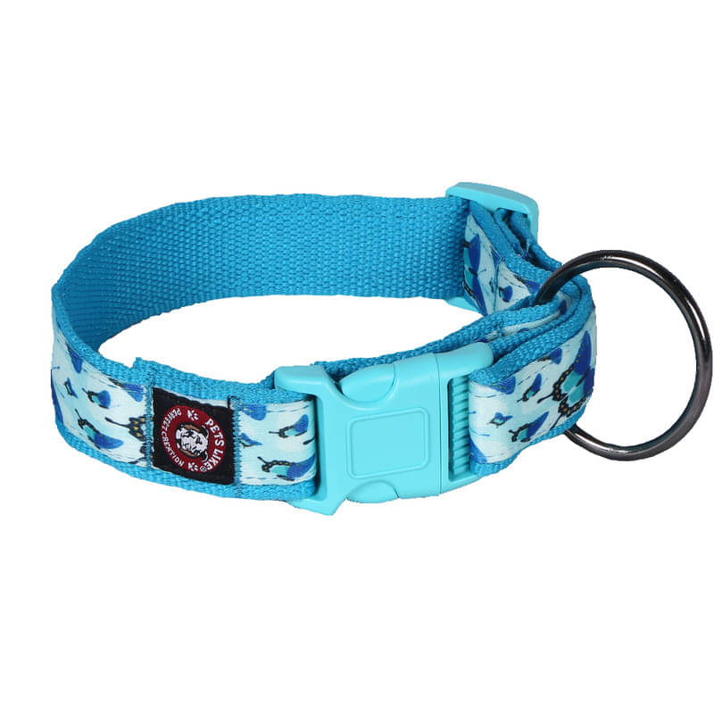 pets like Blue Collar ( Small ) pets like Blue Collar ( Small )